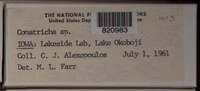 Image Associated With the Occurence